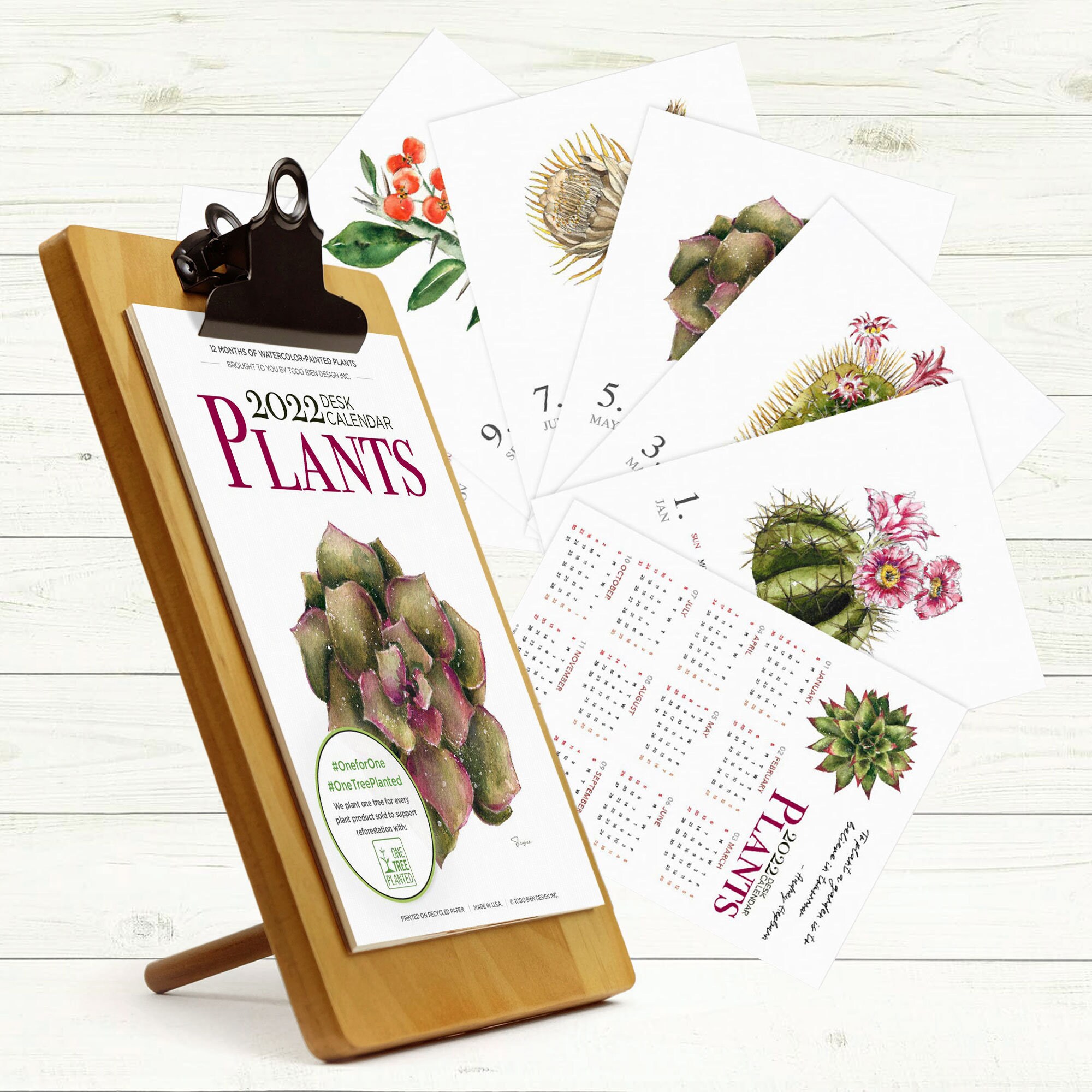 2022 Monthly Plants Cactus Desk Calendar 5x7 Watercolor Etsy
