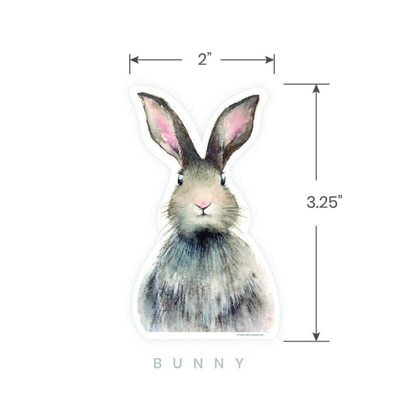 May include: A watercolor illustration of a gray bunny with pink ears. The bunny is looking directly at the viewer. The image is 2 inches wide and 3.25 inches tall. The word "BUNNY" is printed below the image.