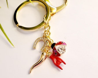 Portafortuna, Lucky Charms, Cornicello, Mano Cornuto, Horseshoe, and Lady bug Keychain