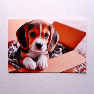 Set mit 5 Beagle-Welpen-Grußkarten, wunderschöne KI-generierte Kunstwerke, alle Gelegenheiten, innen leer, Briefpapier, handgefertigt, A2
