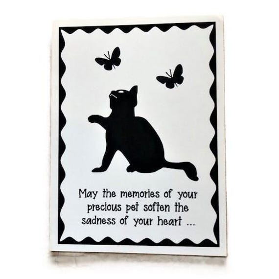 Kitty Animal Shelter Lost Cat Cat Rescue Cats Get Lost Lost Cat