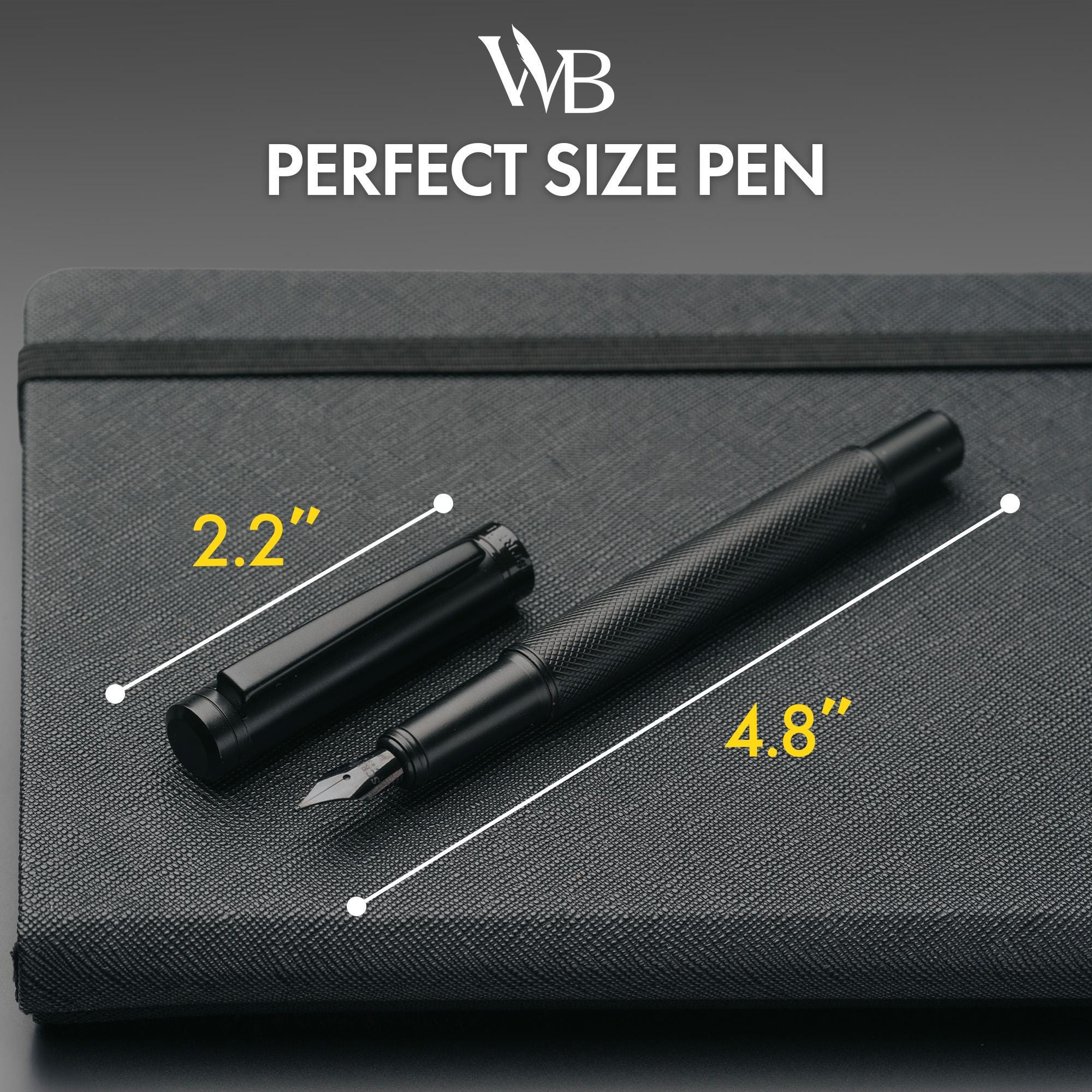 SCRIVI PENS Set Penna Stilografica Artistry – Cromo Nero – Con Convertitore E 2 Cartucce – Regalo Calligrafia