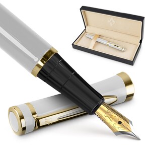 Wordsworth & Black Premium Fountain Pen Set Comes with 6 Ink Cartridges, Refill Converter, Fountain Pen Case, Corporate Gifts [Medium Nib]