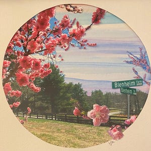 Blenheim Spring