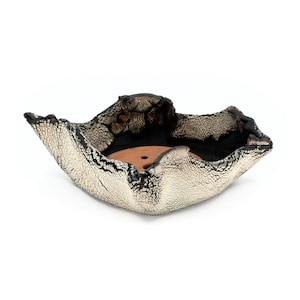 May include: A ceramic bonsai pot with an irregular, organic shape and a textured, crackled white and black exterior finish. The interior base is smooth, unglazed terracotta brown and features three drainage holes for plant health and aeration.