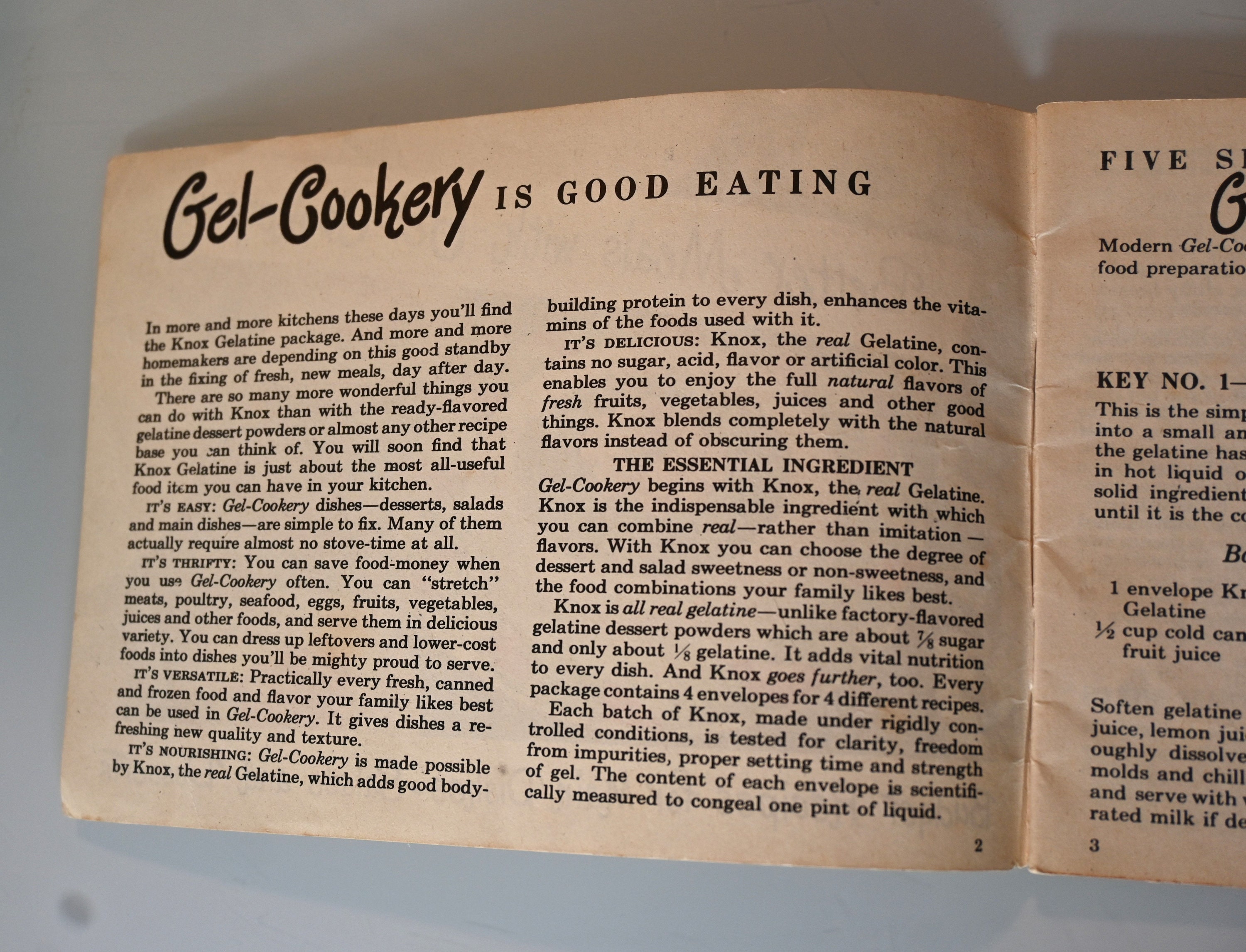 Gel Cookery Booklet Know Gelatine 1950s Etsy