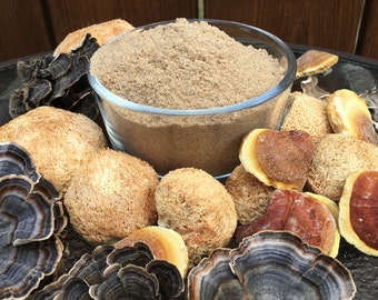 Organic Mushroom Extract Powder Blend, Reishi, Cordyceps, Lions Mane, Turkey Tail Made in USA