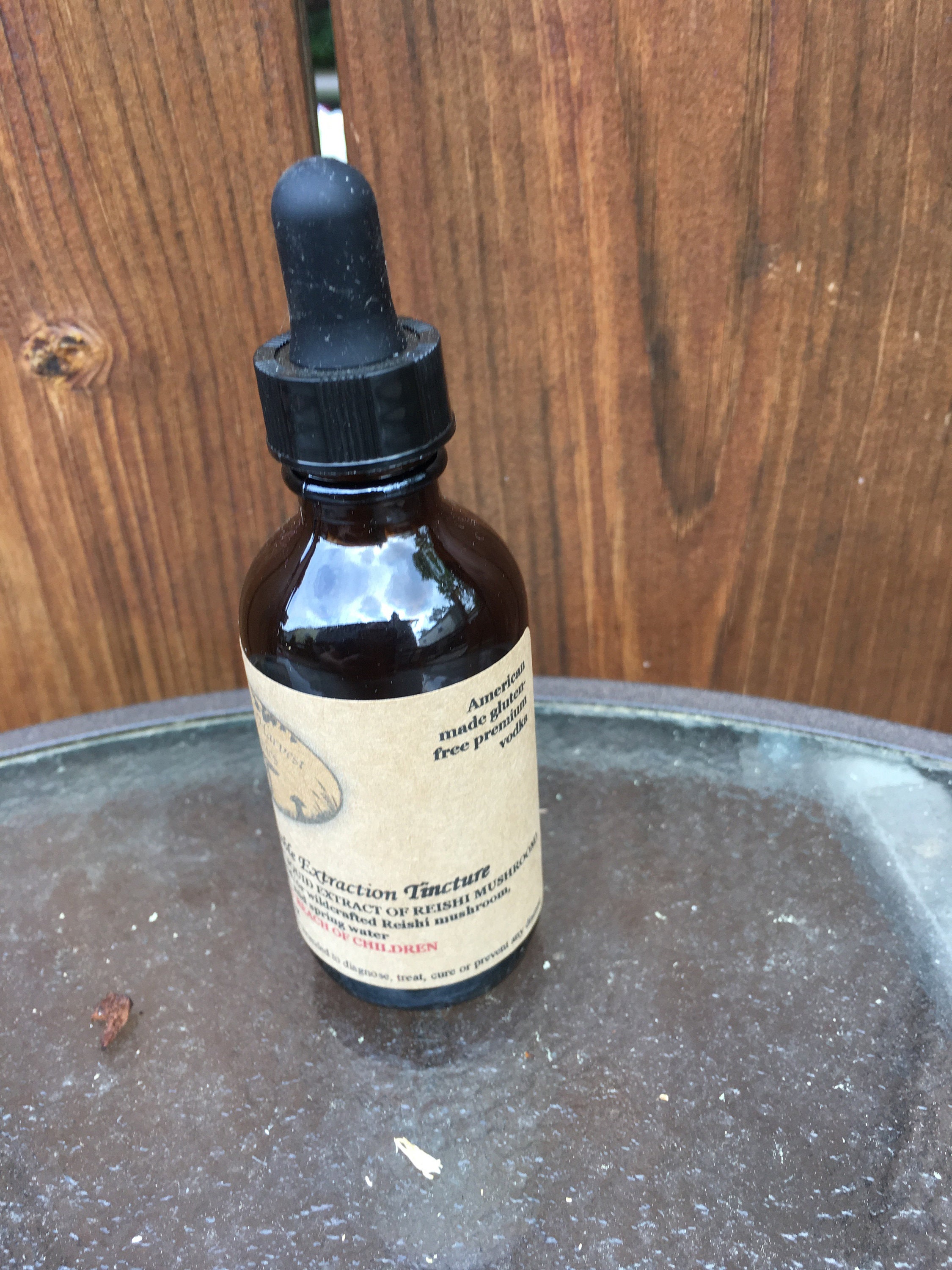 5 Mushroom Double Extraction Tincture Blend chaga Reishi Etsy Denmark