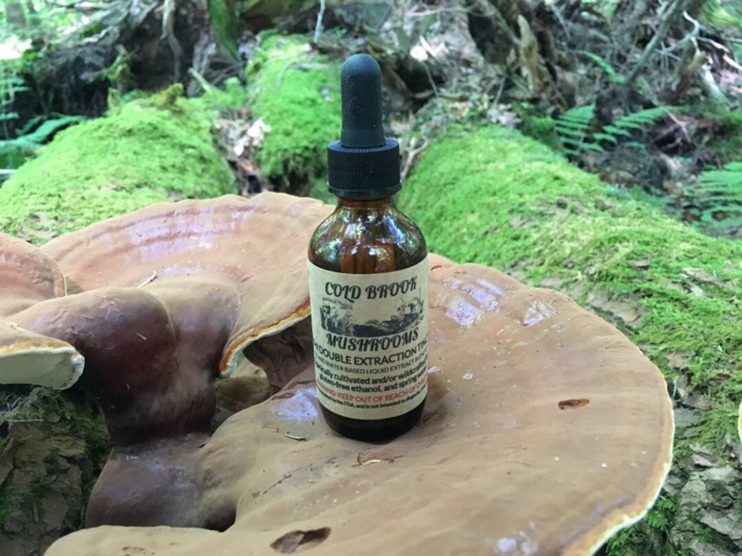Reishi Double Extraction Tincture Made in USA Etsy