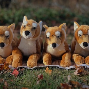 May include: Four plush toy dogs with brown and white fur are arranged on a blanket outdoors. The stuffed animals have black noses and are sitting on their haunches. The background includes green grass and fallen leaves.
