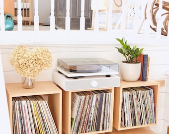 Record Display Wall Cubes