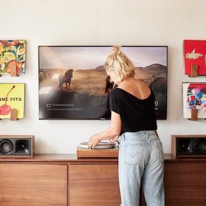 Flip Record Display Shelves image 4