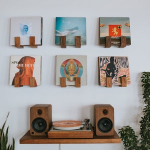 Flip Record Display Shelves