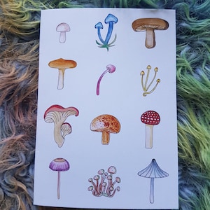 Mushroom Collection - Blank Greeting Card