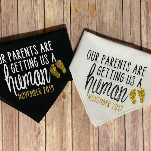 Pregnancy Announcement Grandparents Pregnancy Announcement Etsy
