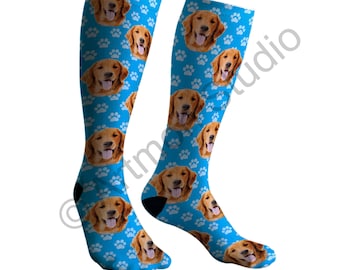 putting a sock on a dog's head