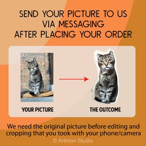 Pu&ograve; includere: Un'immagine prima e dopo che mostra come personalizzare un cuscino con una foto. La foto originale mostra un gatto tigrato seduto su un tappeto. L'immagine finale mostra la foto del gatto stampata su un cuscino bianco.