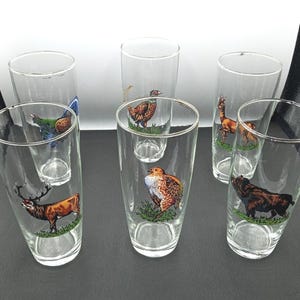 Vintage set of 6 glass water featuring wild animals, Glassware set