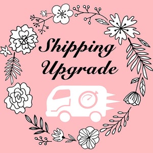 Shipping Upgrade Fee
