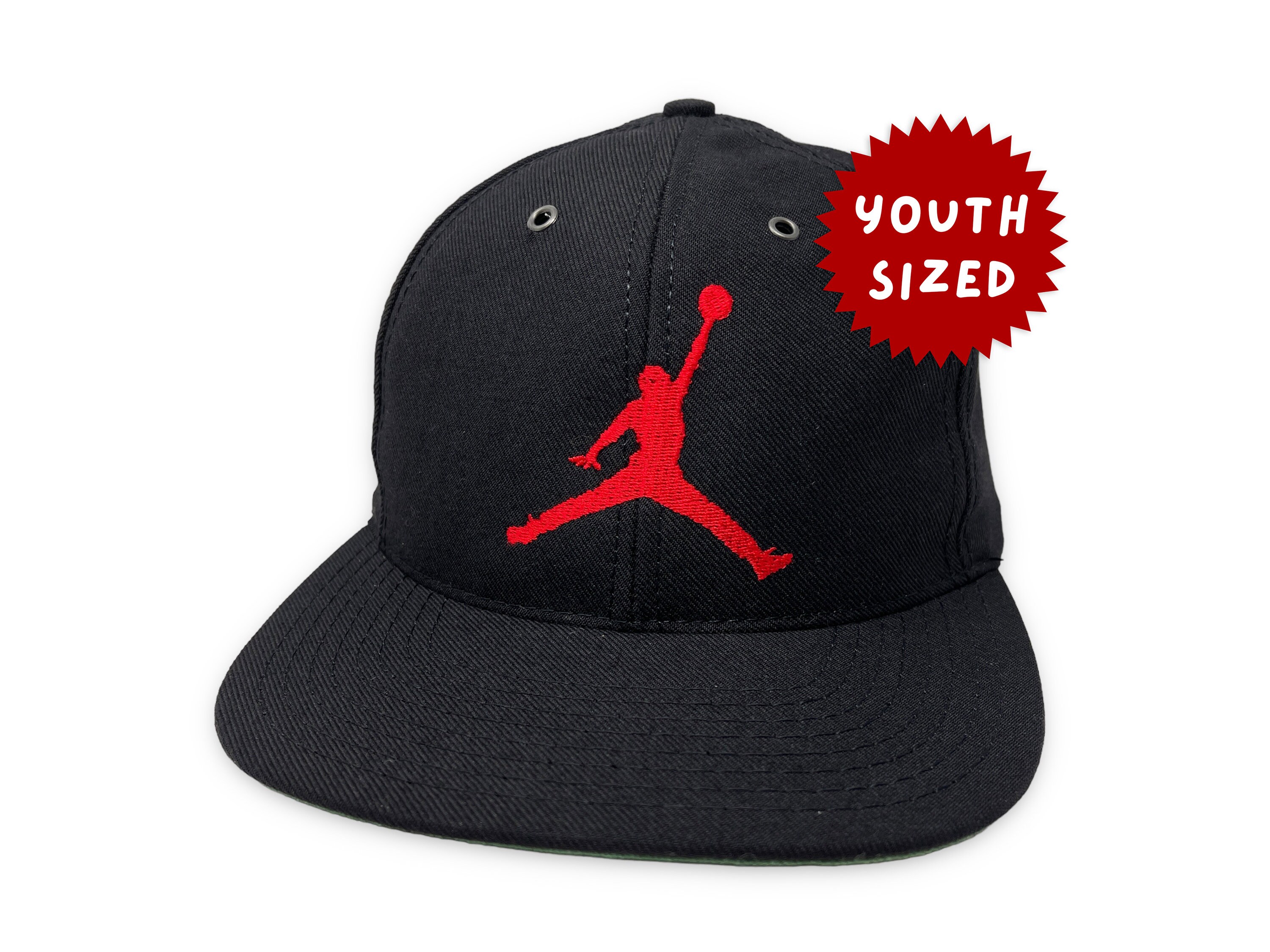 Casquette Jordan Pro Jumpman Snapback / Violet