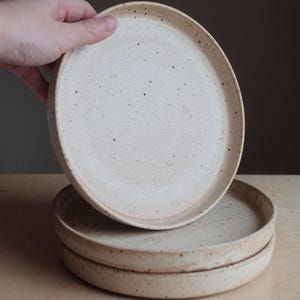 May include: A set of speckled ceramic plates in a neutral colour palette. One plate is being held up, revealing the rim and the speckled surface. The plates have a slightly raised edge and a matte finish, suitable for serving food.