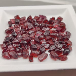 May include: A collection of rough-cut, dark red garnet gemstones. The gemstones are irregularly shaped and appear to be raw, with a slightly translucent quality. They are displayed in a white square dish.