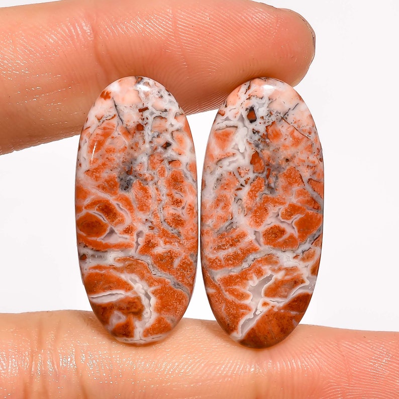 Dazzling Rosita Jasper Cabochon Pair Loose Gemstone Designer Rosita Jasper Cabochon Pair For Earring Making Gemstone ZA 3239