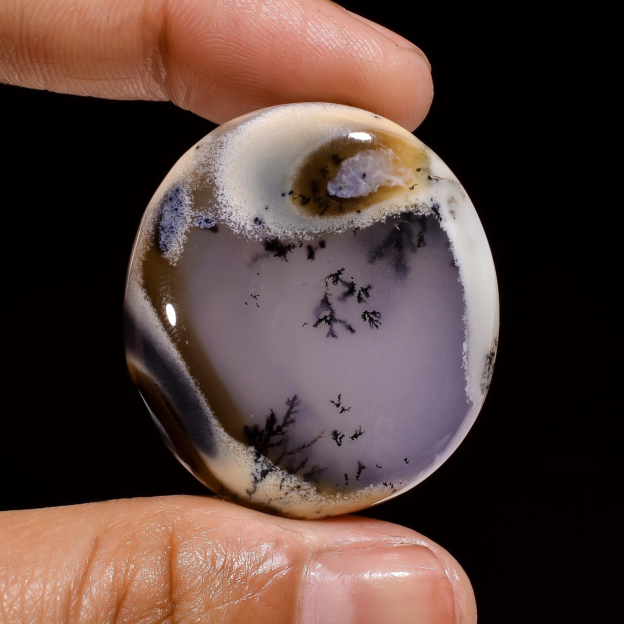 adult dendrite opal adult dendrite opal