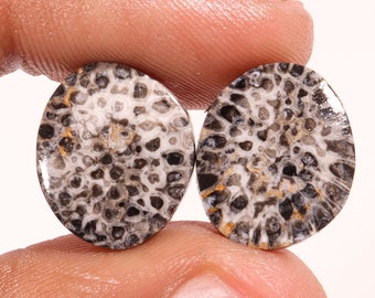 Black Fossil Coral Oval Shape Cabochon, Loose Gemstone, Black Fossil Coral Pair For Earrings Making, Fossil Coral Cabochons Gemstone, C-644