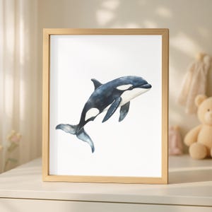 Watercolor Orca Whale Black And White Ocean Printable Wall Art Nursery