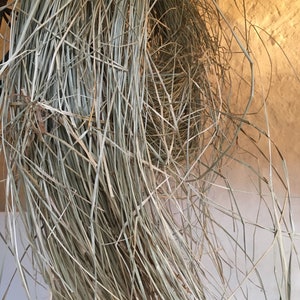 May include: A bundle of dried, light brown grass, hanging from a ceiling or hook. The grass is long and thin, with a slightly rough texture.