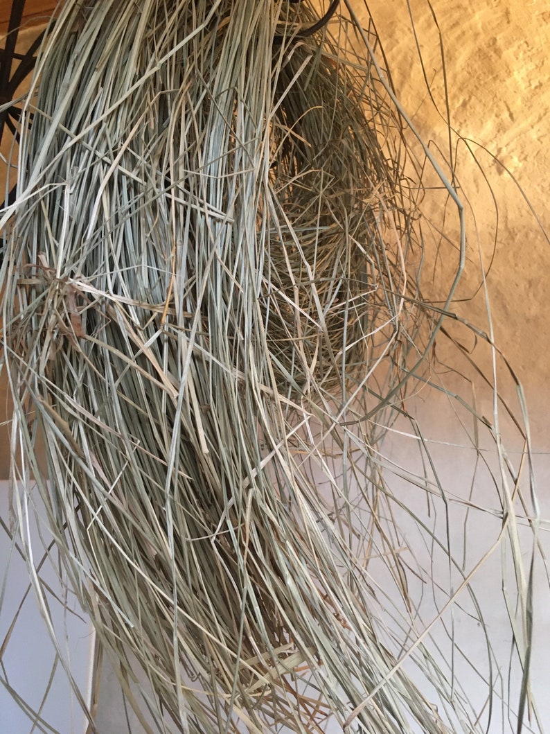 May include: A bundle of dried, light brown grass, hanging from a ceiling or hook. The grass is long and thin, with a slightly rough texture.