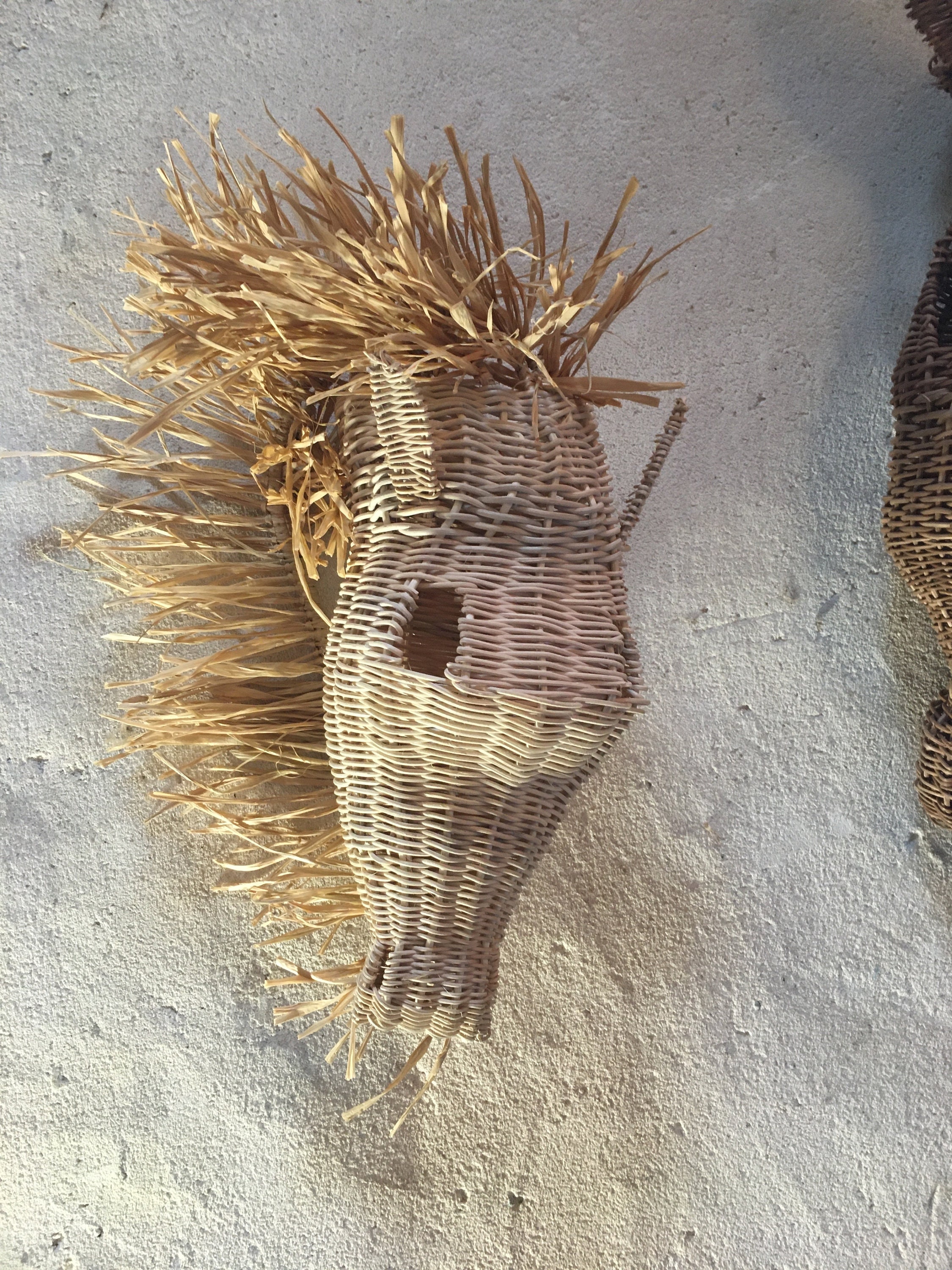 Tête de Cheval - Trophée Animal