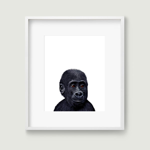 Monkey wall art downloadable prints gorilla poster. Jungle nursery wall art wildlife photography digital prints for Safari nursery decor.