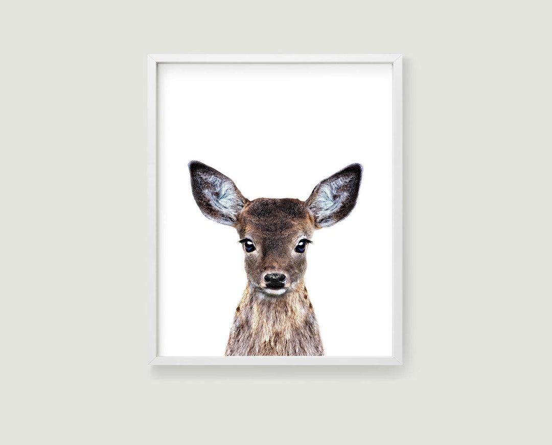 Printable Art Baby Deer Poster for Your Woodland Nursery Wall Art ...