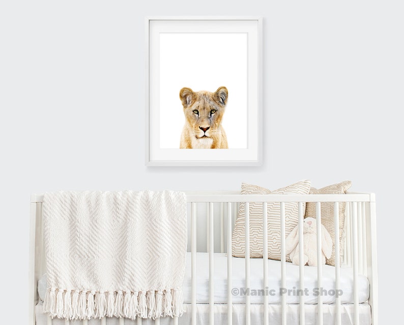 Lioness wall art downloadable prints Safari nursery decor. African wildlife photography printable wall art. Lion print above bed decor. image 4