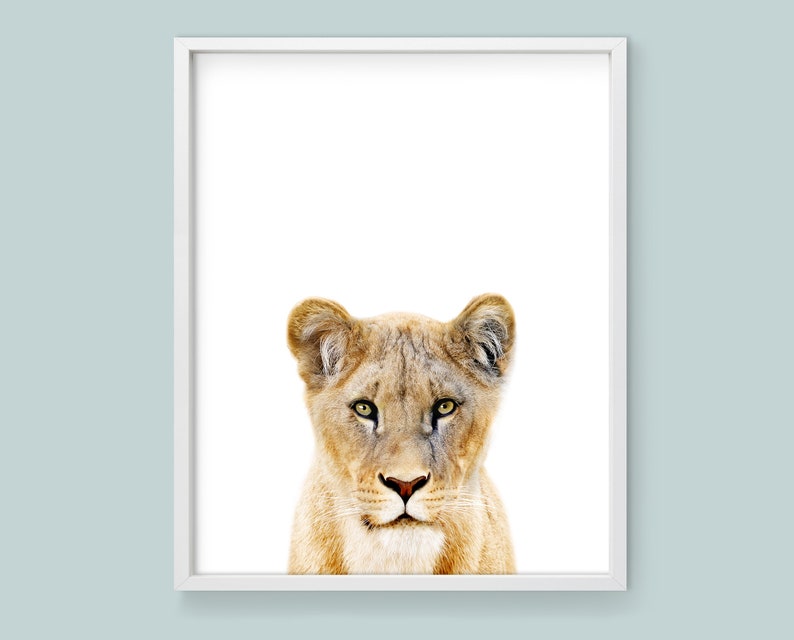 Lioness wall art downloadable prints Safari nursery decor. African wildlife photography printable wall art. Lion print above bed decor. image 1