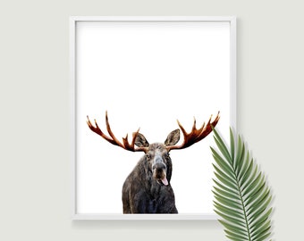 Moose poster wildlife photography forest animals printable wall art. Moose decor woodland nursery prints. Rustic wall art log cabin decor.