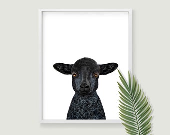 Black sheep print printable wall art. Downloadable prints for farmhouse decor or lamb nursery decor. Vegan poster farm animal print.