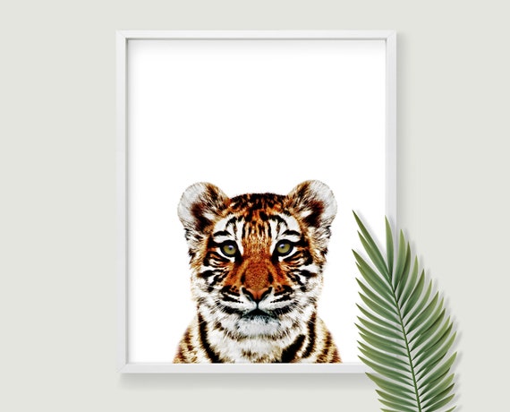 TIGER ART PRINT ANIMAL PHOTO WILDLIFE POSTER A5 A4 A3 A2 A1