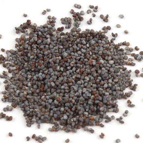 Poppy Seed Whole Whole Seeds Herb Ounce Organic Etsy
