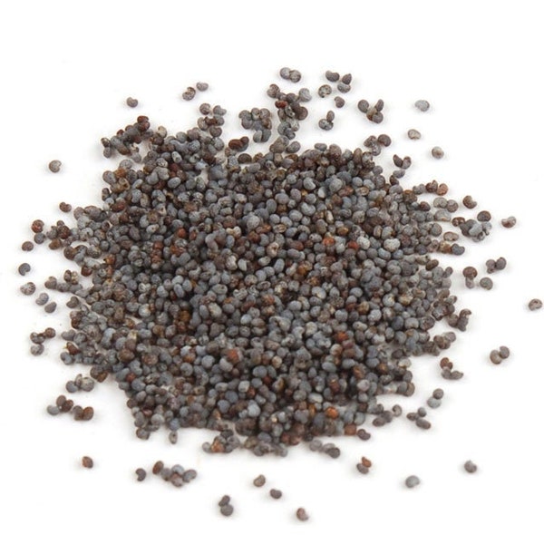 Poppy Seed Whole | Whole Seeds | Herb | Ounce | Organic | Dried Herbs | Herbal | Herbalism | Aromatherapy |