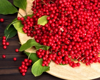 Schisandra Berry | Organic | Natural | Herbalist | Dried Herbs | Botanical | Food grade l Natural Herbs | Dried Berries | Healing herb