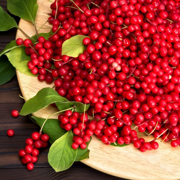 Schisandra Berry | Organic | Natural | Herbalist | Dried Herbs | Botanical | Food grade l Natural Herbs | Dried Berries | Healing herb