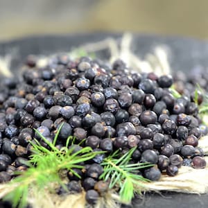 Juniper Berries Dried | Organic | Natural Herbs | Dried Herbs | Botanical | Flavoring | Small Business