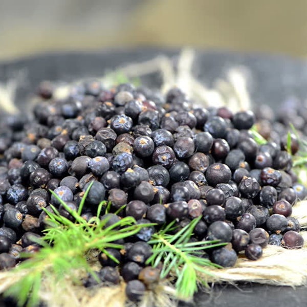 Juniper Berries Dried | Organic | Natural Herbs | Dried Herbs | Botanical | Flavoring | Small Business