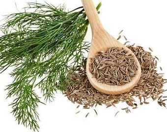 Cumin | Épice | Assaisonnement | Alimentation | Herbe naturelle | Herbes séchées | Herbes naturelles | fines herbes | Parfum |