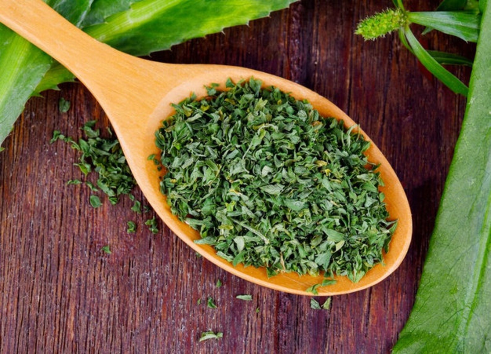 Dried Cilantro Leaf Ounces Wholesale Nutritional Etsy