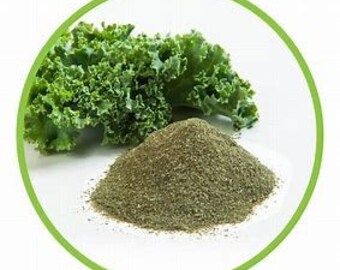 Kale Powder | Ounces | Organic | Dried Herbs | Herbal Products | Natural Herbs | Botanical | Healing Herb | Tea Material | Herbalism