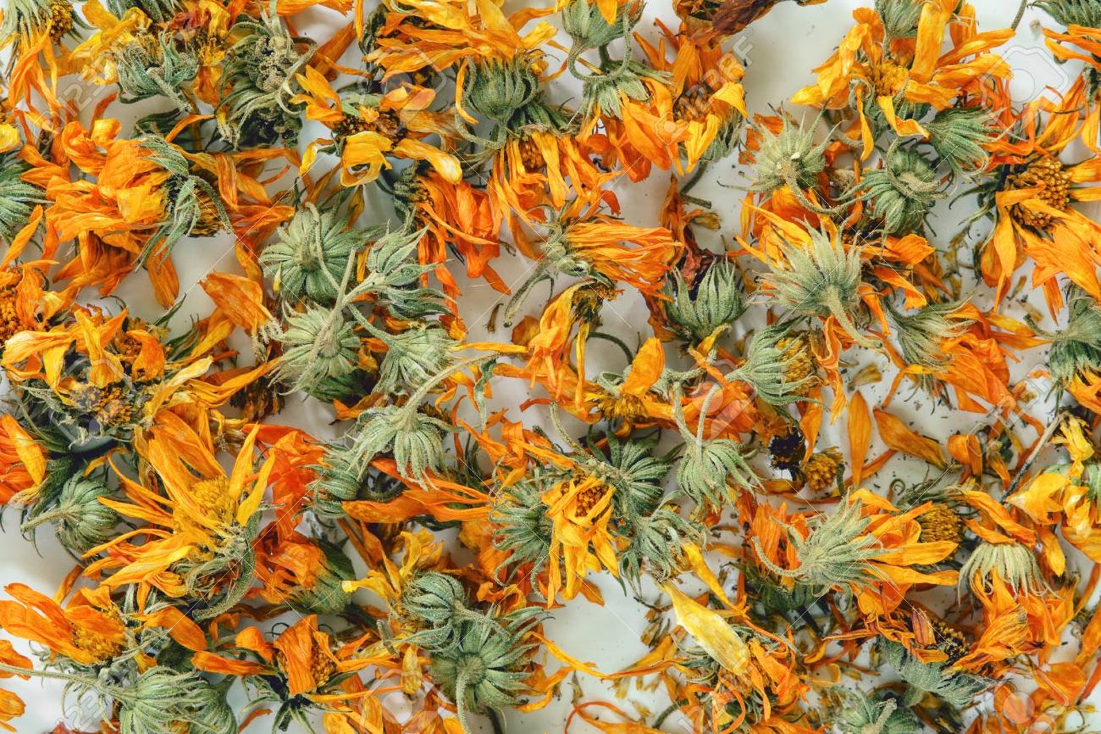 Calendula 1oz Dried Calendula Organic Dried Herbs Etsy